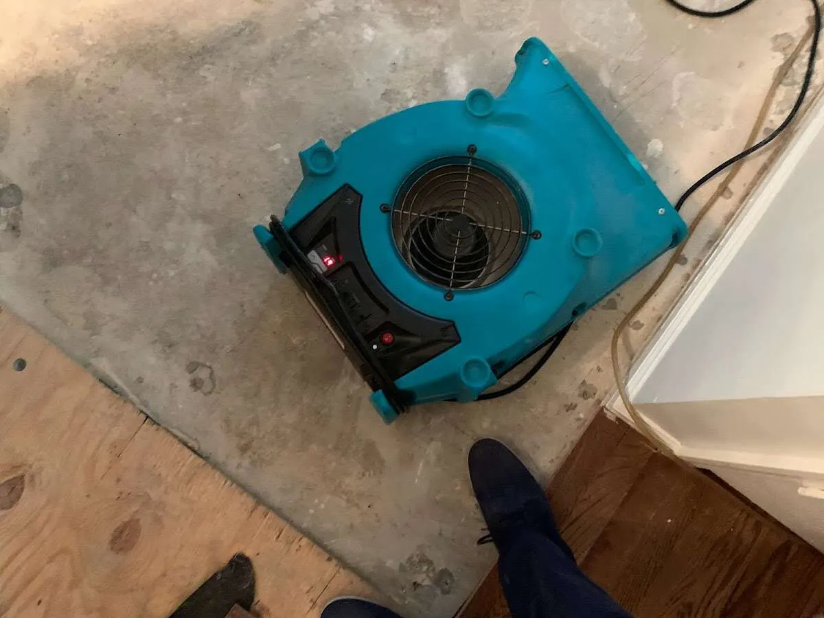 Air mover drying subfloor during Commercial Water Damage Restoration in Ottumwa